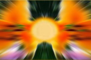 Options for Blogs and Posts