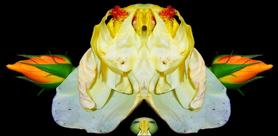 You are currently viewing Ocean WP Plugins